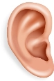 38,216 Human Ear Stock Photos, Pictures &amp; Royalty-Free Images - iStock